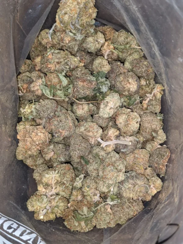 Amnesia Haze Kaufen Deutschland